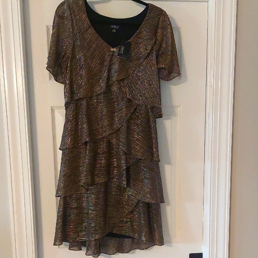 Ignite Evenings elegant Metallic Dress, size 6